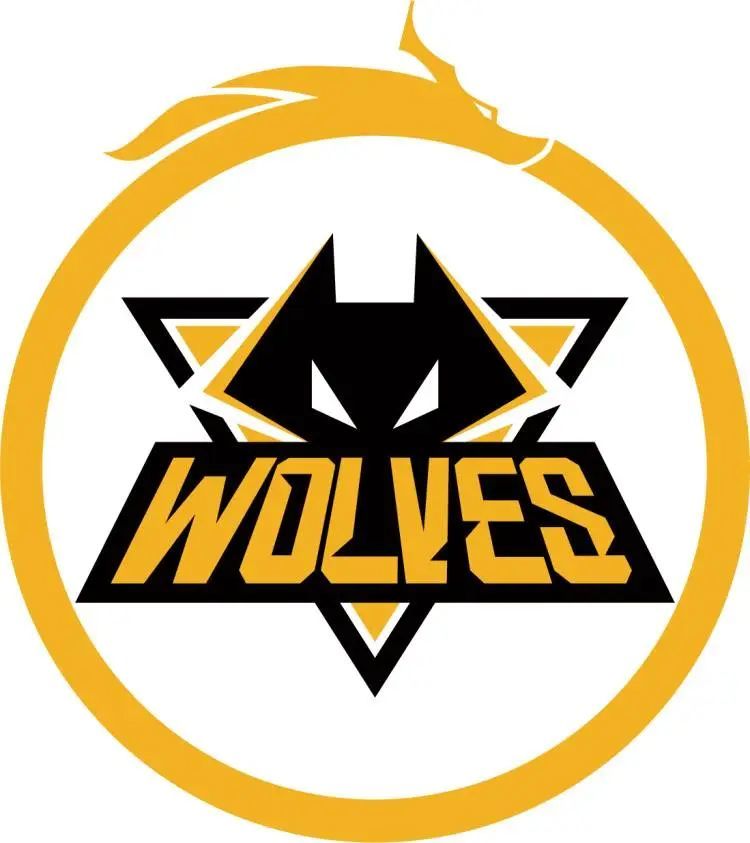 FUT Esports 对阵 Apeks ，Vitality 对阵 GIANTX — EWC 2025： EMEA 预选赛